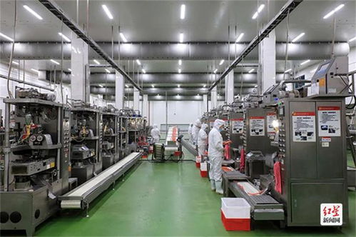 首月營銷1.8億元 新津希望食品全力沖刺年度20億元目標